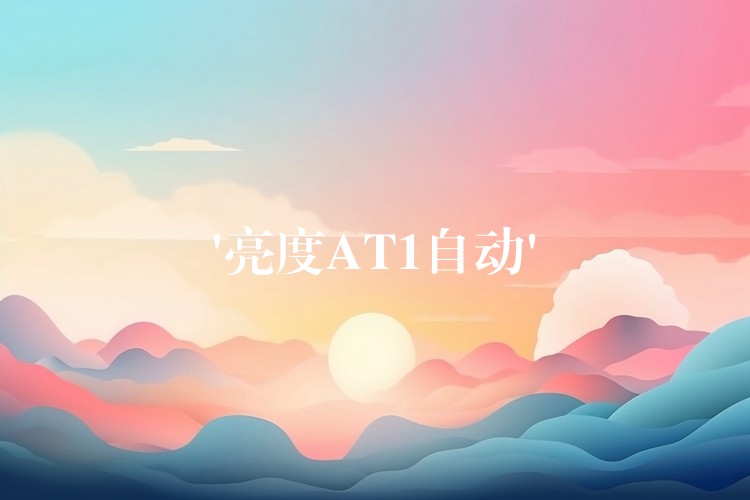 ‘亮度AT1自动’