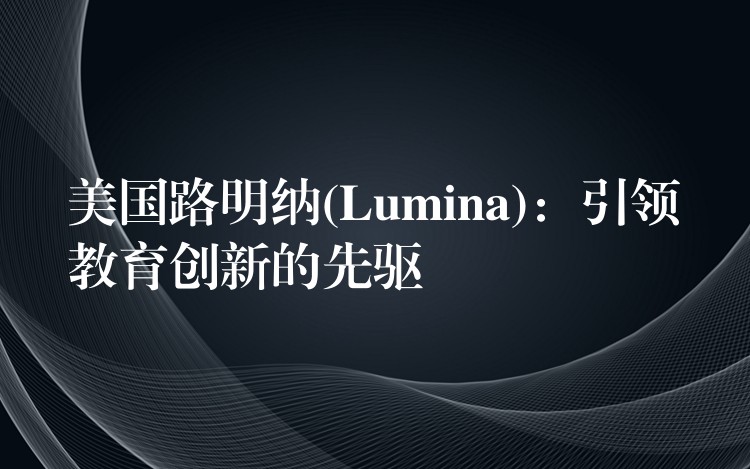 美国路明纳(Lumina):引领教育创新的先驱