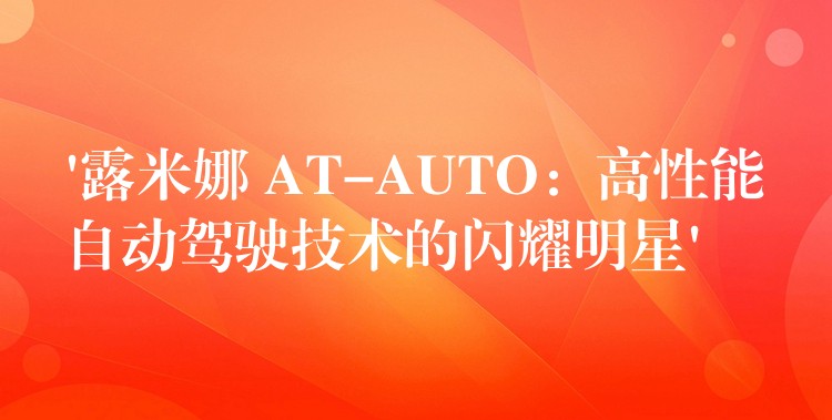 ‘露米娜 AT-AUTO：高性能自动驾驶技术的闪耀明星’