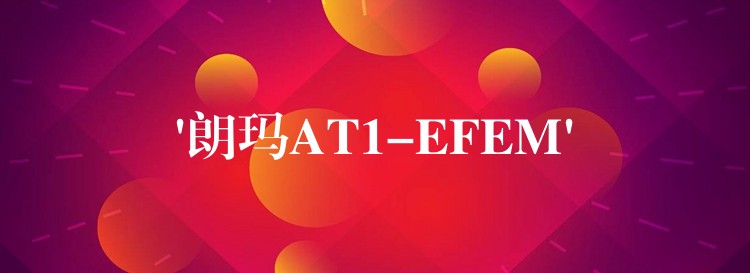 ‘朗玛AT1-EFEM’
