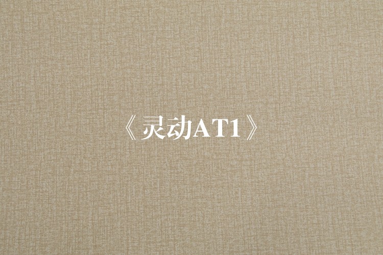 《灵动AT1》