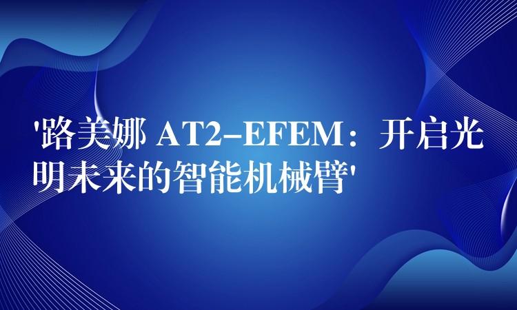 ‘路美娜 AT2-EFEM：开启光明未来的智能机械臂’