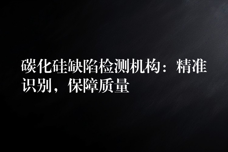 碳化硅缺陷检测机构：精准识别，保障质量