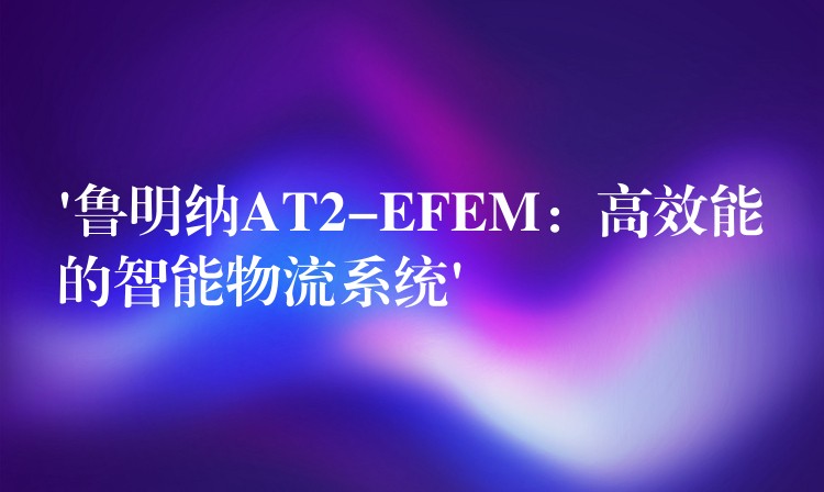 ‘鲁明纳AT2-EFEM：高效能的智能物流系统’