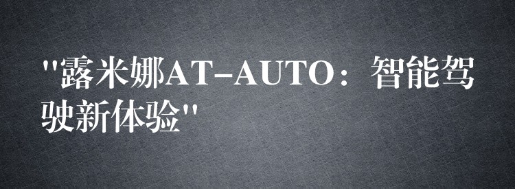 “露米娜AT-AUTO:智能驾驶新体验”