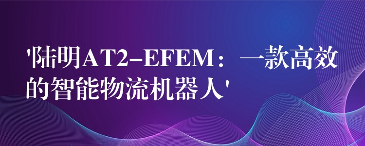 ‘陆明AT2-EFEM:一款高效的智能物流机器人’