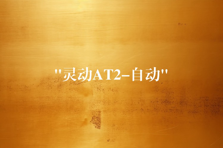 “灵动AT2-自动”