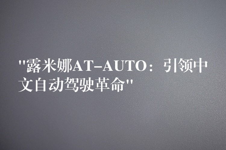 “露米娜AT-AUTO:引领中文自动驾驶革命”