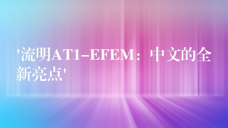 ‘流明AT1-EFEM:中文的全新亮点’