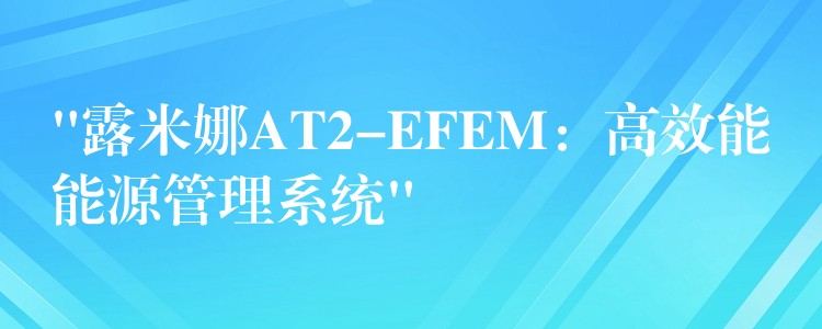“露米娜AT2-EFEM:高效能能源管理系统”