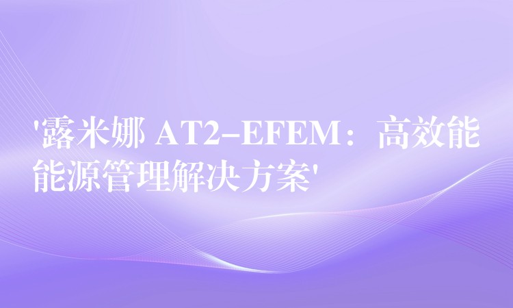 ‘露米娜 AT2-EFEM:高效能能源管理解决方案’