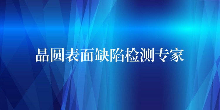 晶圆表面缺陷检测专家