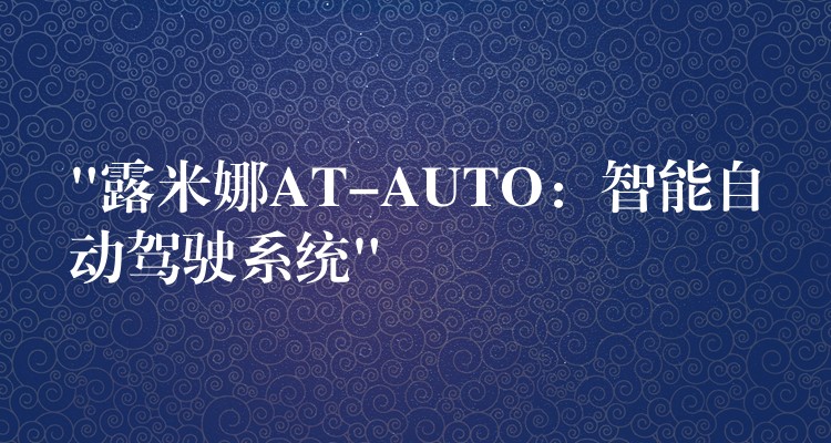 “露米娜AT-AUTO:智能自动驾驶系统”