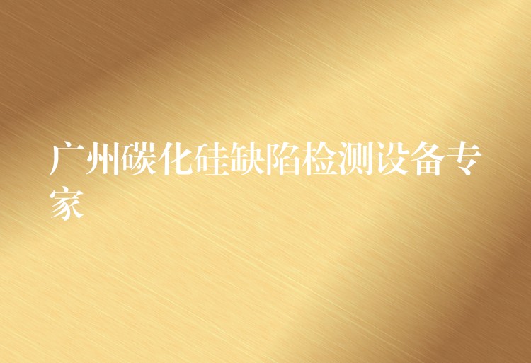 广州碳化硅缺陷检测设备专家