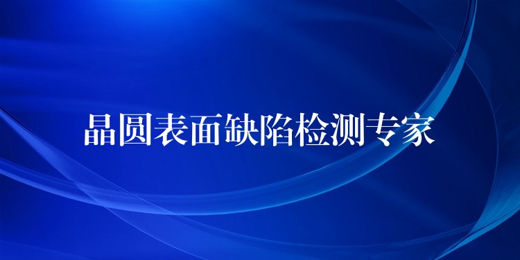 晶圆表面缺陷检测专家