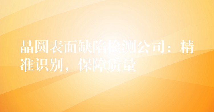 晶圆表面缺陷检测公司:精准识别,保障质量