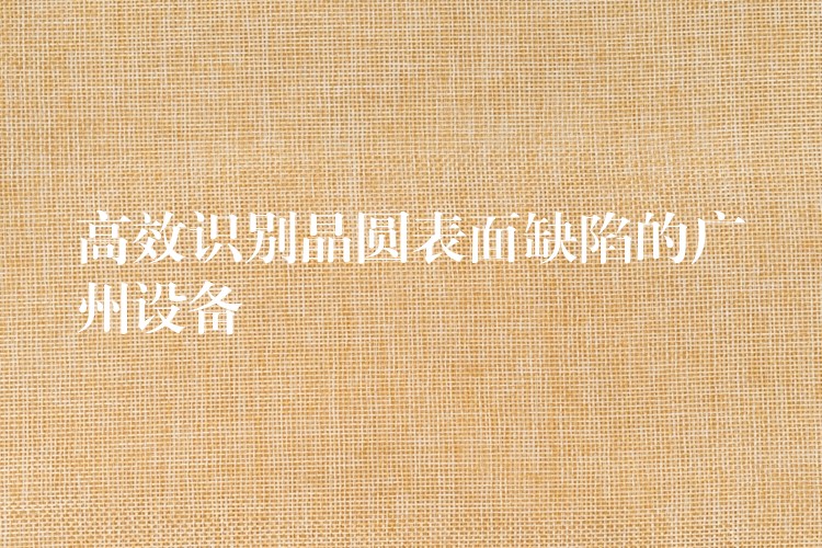 高效识别晶圆表面缺陷的广州设备