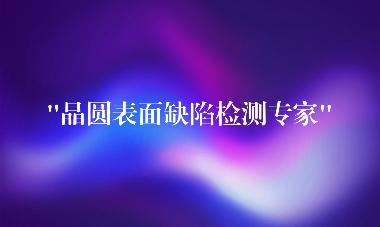 “晶圆表面缺陷检测专家”