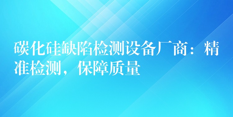 碳化硅缺陷检测设备厂商:精准检测,保障质量