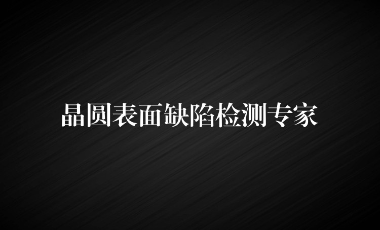 晶圆表面缺陷检测专家